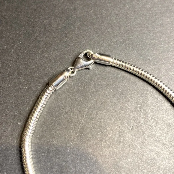 Silver toned charm bracelet. Note this bracelet is not Pandora - Picture 3 of 3